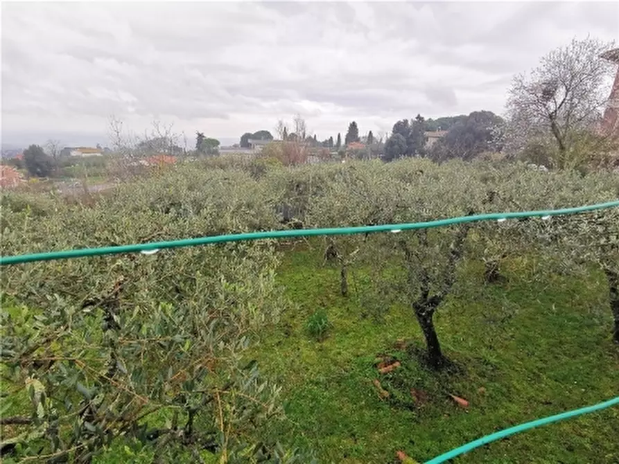 Immagine 28 di Villa in vendita  a Montaione