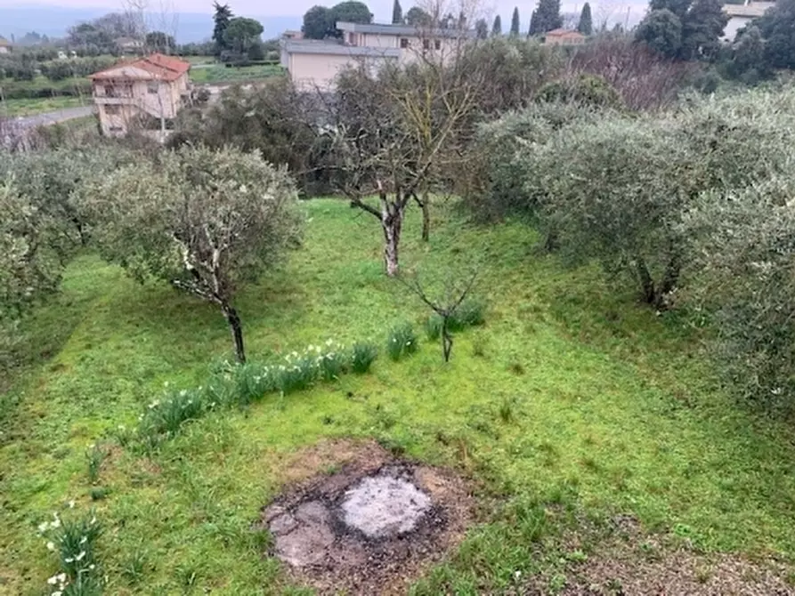 Immagine 34 di Villa in vendita  a Montaione