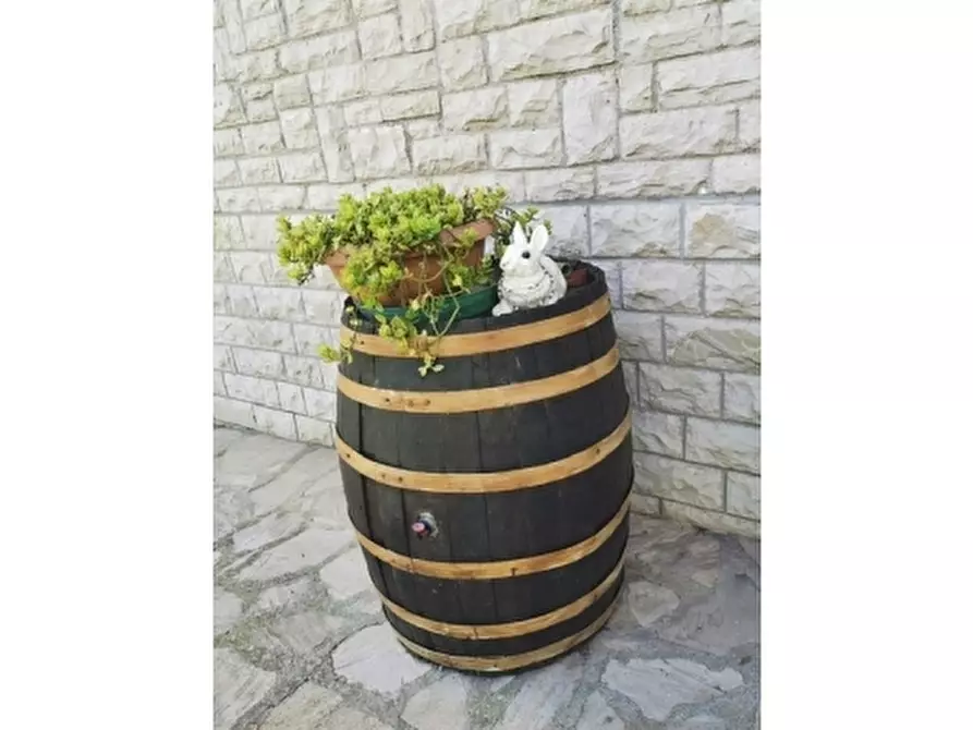 Immagine 21 di Villa in vendita  a Giove