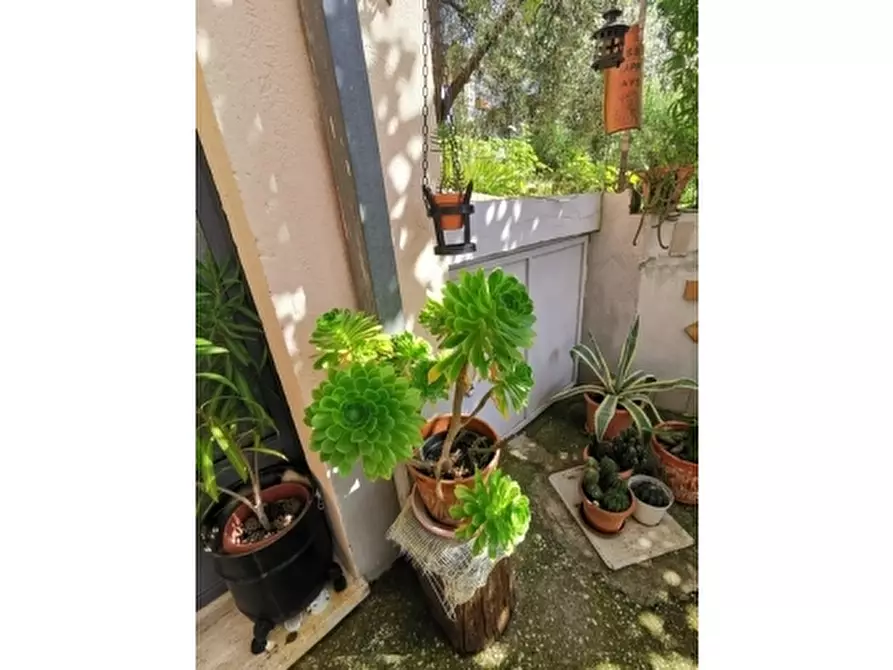 Immagine 28 di Villa in vendita  a Giove