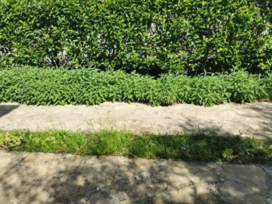 Immagine 33 di Villa in vendita  a Giove