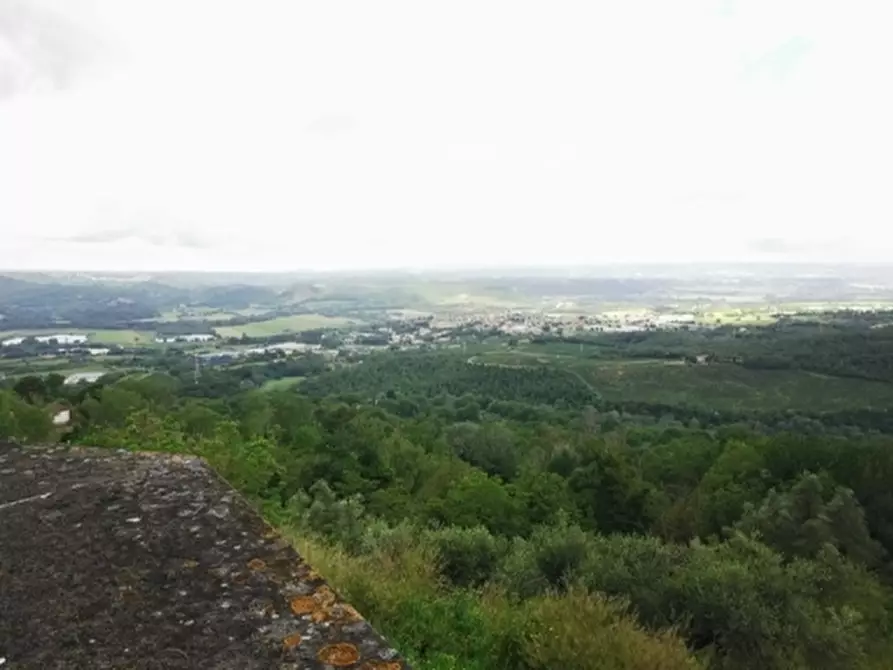 Immagine 58 di Villa in vendita  a Giove