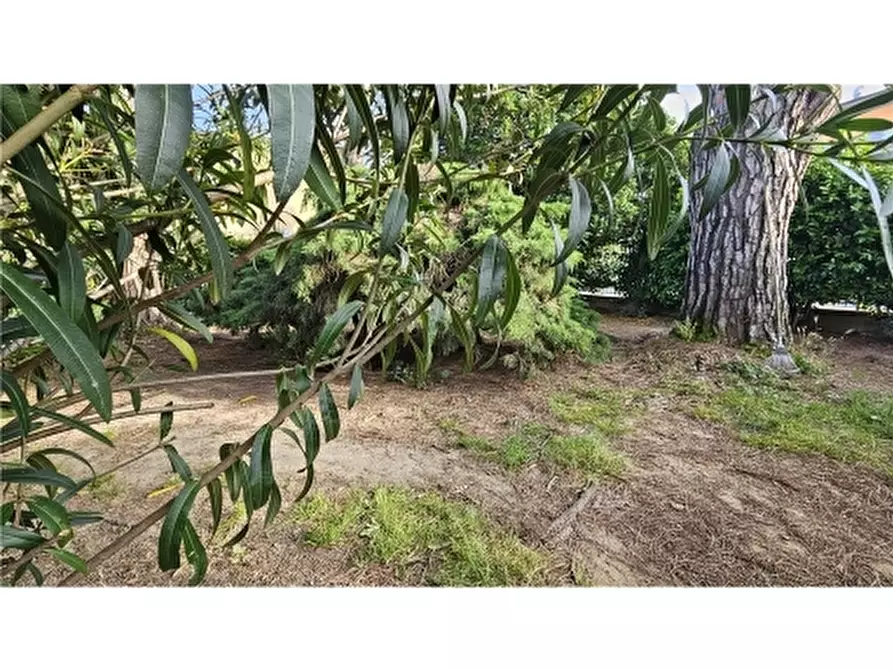 Immagine 3 di Villa in vendita  a San Miniato