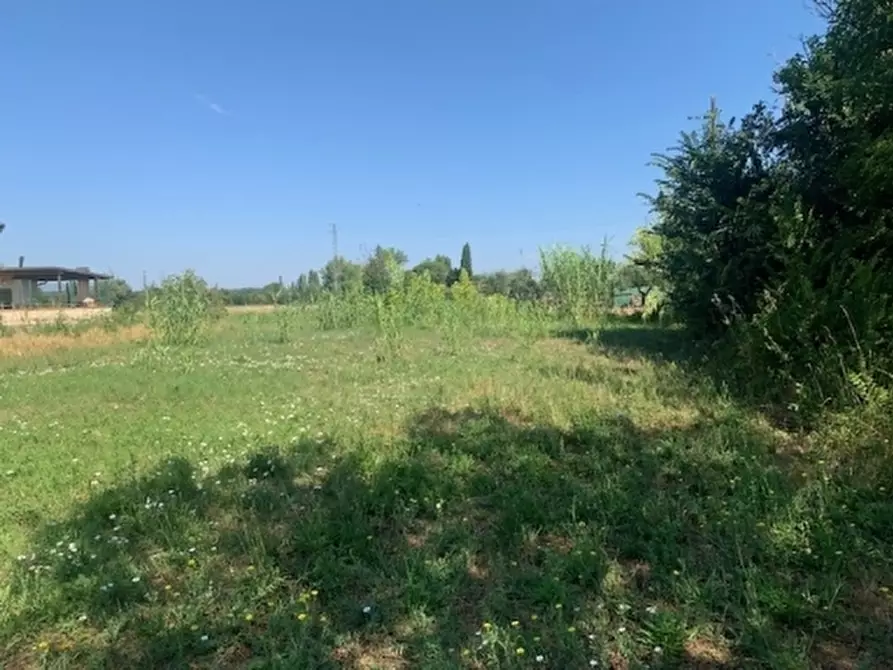 Immagine 5 di Villa in vendita  a Fucecchio
