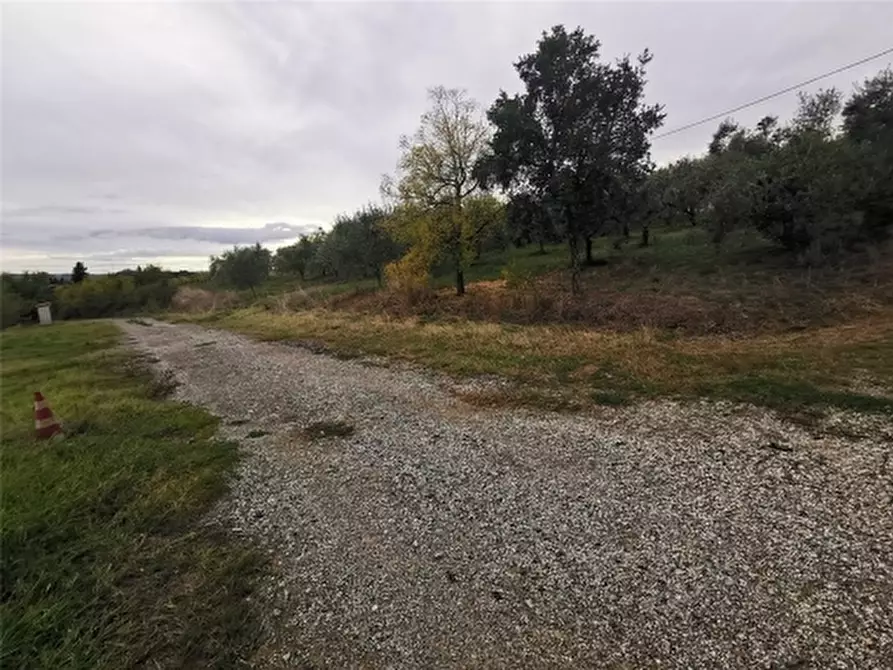 Immagine 24 di Rustico / casale in vendita  a Cerreto Guidi