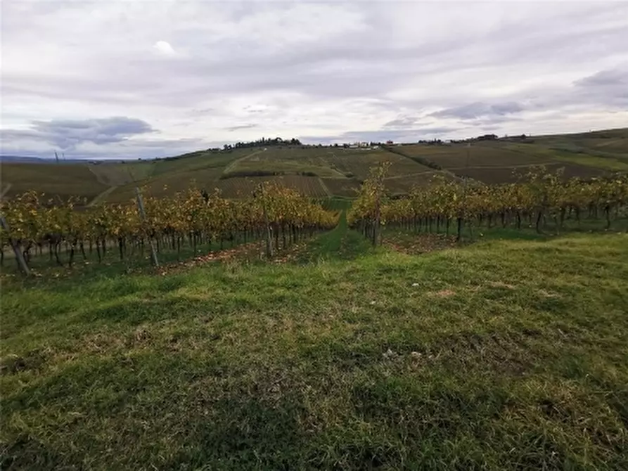 Immagine 27 di Rustico / casale in vendita  a Cerreto Guidi