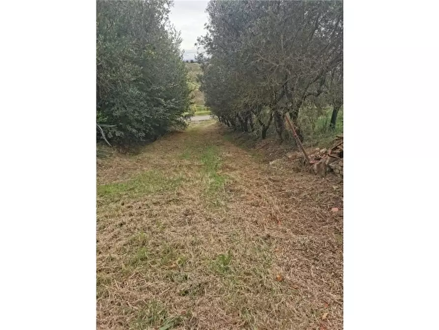 Immagine 29 di Rustico / casale in vendita  a Cerreto Guidi