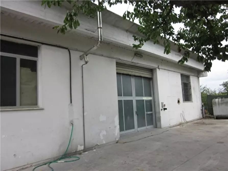 Immagine 4 di Magazzino in affitto  a Empoli