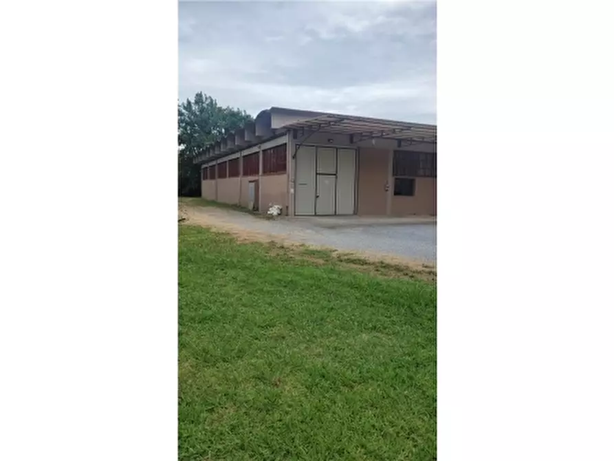 Immagine 4 di Magazzino in vendita  a Lamporecchio