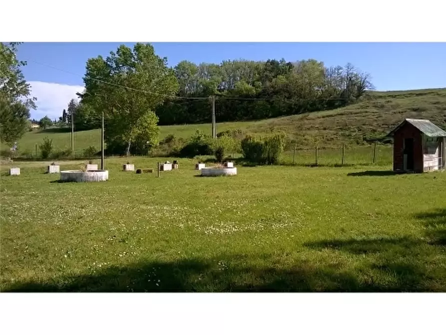 Immagine 2 di Negozio in vendita  a Montespertoli