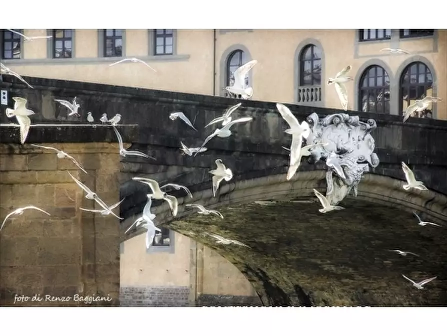 Immagine 2 di Negozio in affitto  a Firenze