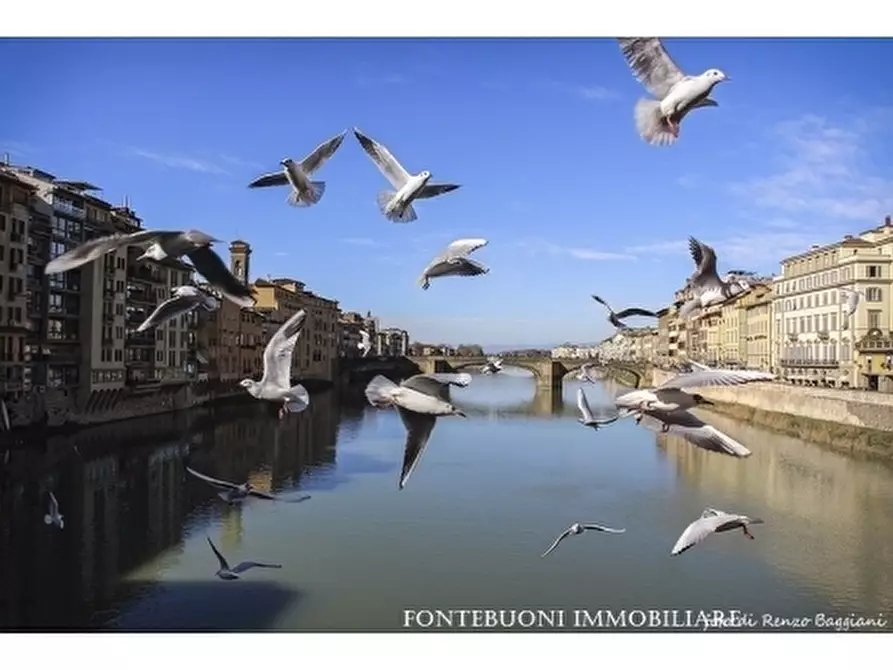Immagine 2 di Negozio in affitto  a Firenze