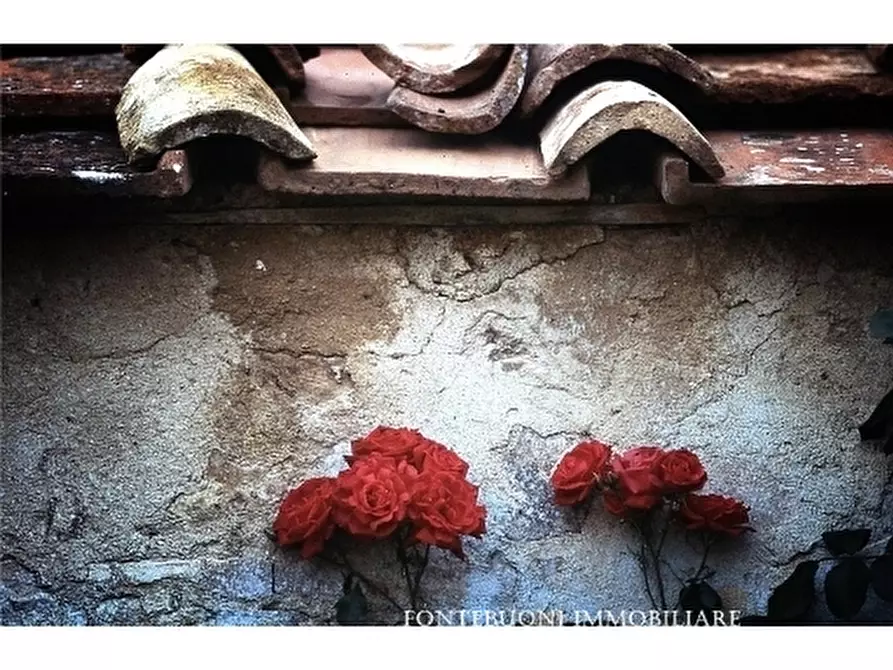 Immagine 4 di Negozio in affitto  a Firenze