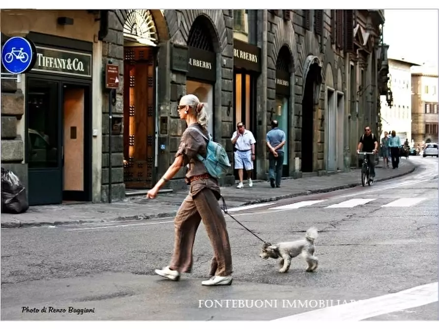 Immagine 1 di Negozio in affitto  a Firenze