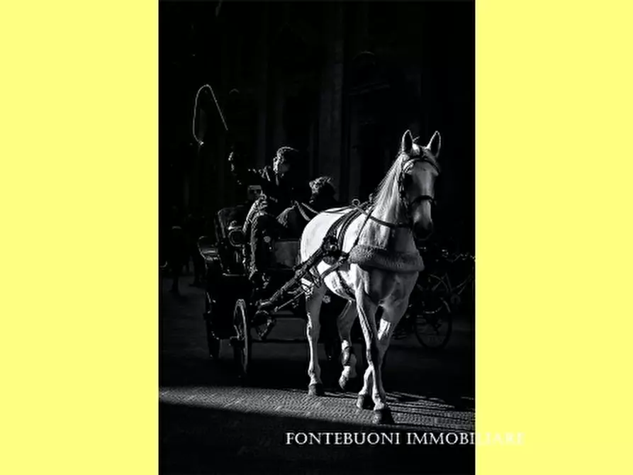 Immagine 7 di Negozio in vendita  a Firenze