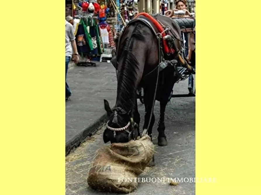 Immagine 3 di Negozio in affitto  a Firenze