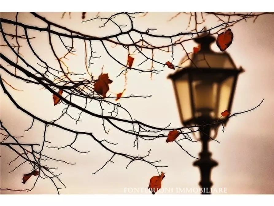 Immagine 2 di Negozio in vendita  a Bagno A Ripoli