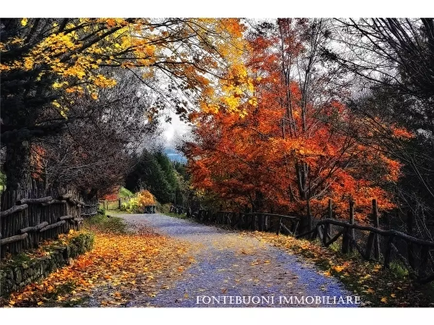 Immagine 4 di Negozio in vendita  a Bagno A Ripoli