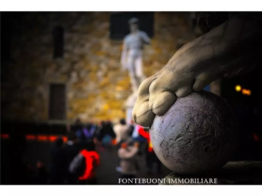 Immagine 5 di Negozio in vendita  a Firenze