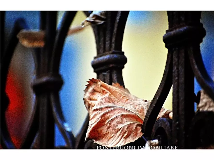 Immagine 2 di Negozio in vendita  a Firenze