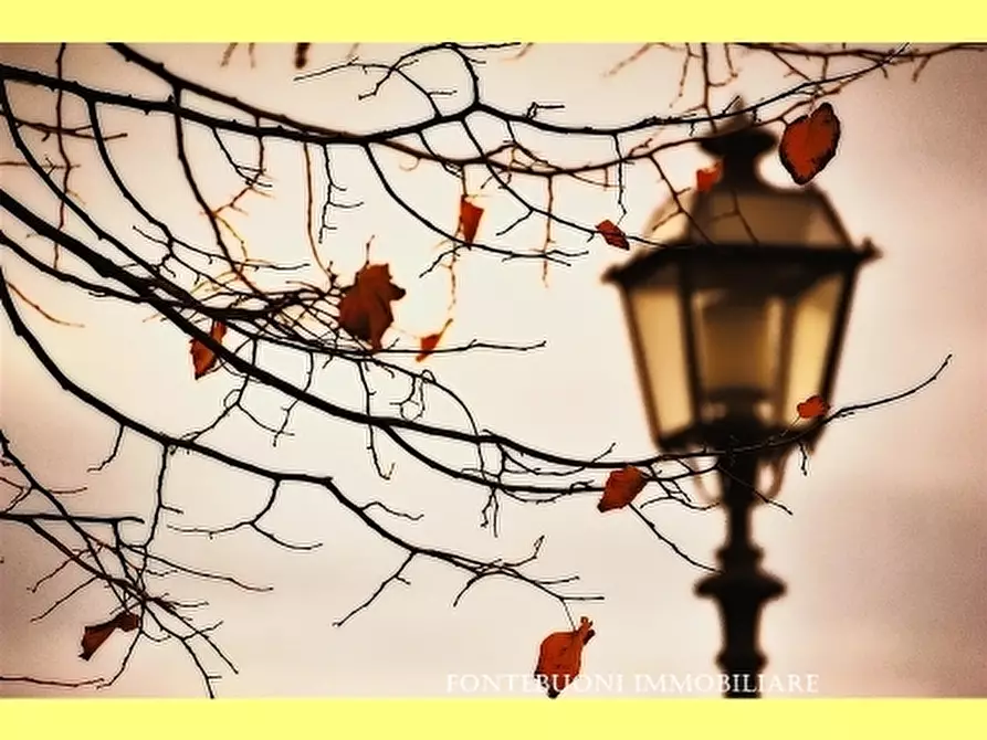 Immagine 2 di Negozio in vendita  a Firenze