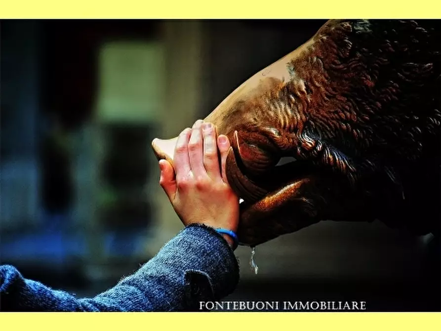 Immagine 3 di Negozio in vendita  a Prato