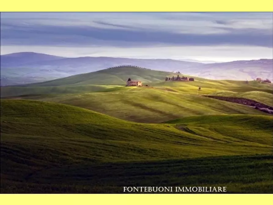 Immagine 9 di Negozio in vendita  a Firenze