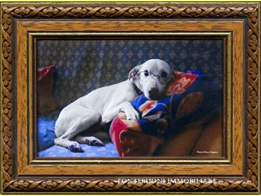 Immagine 2 di Negozio in vendita  a Firenze