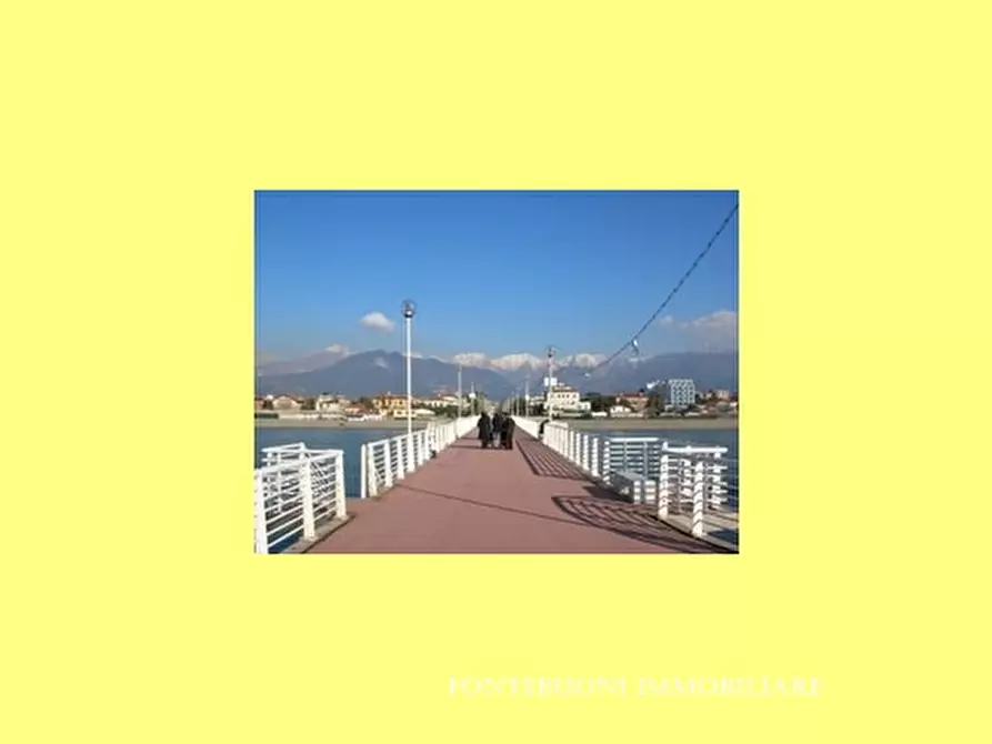 Immagine 3 di Negozio in vendita  a Firenze