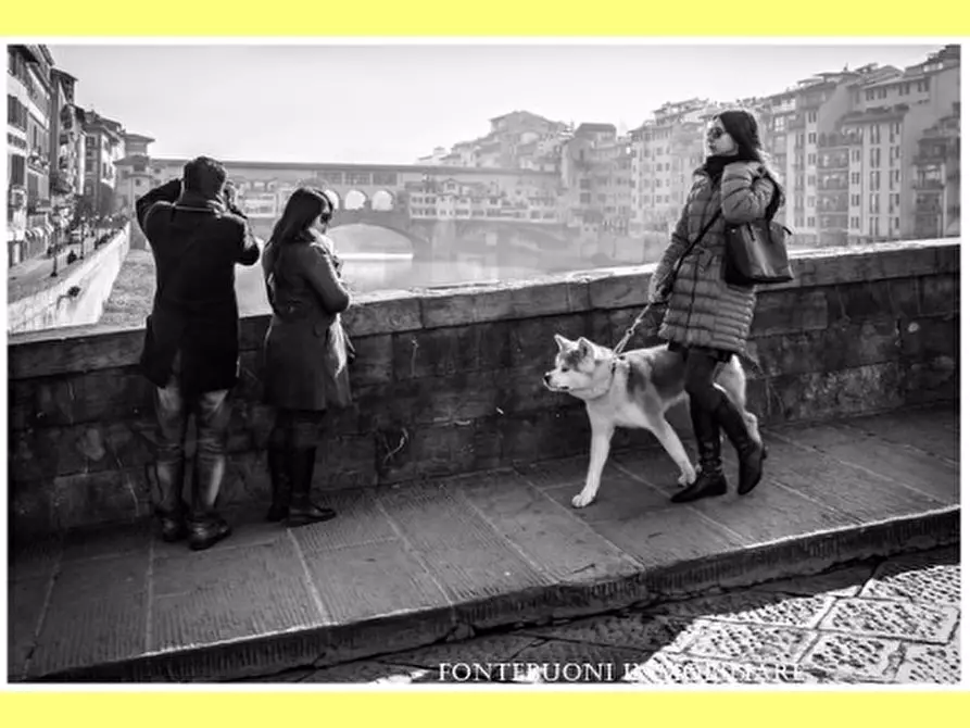 Immagine 4 di Negozio in vendita  a Firenze