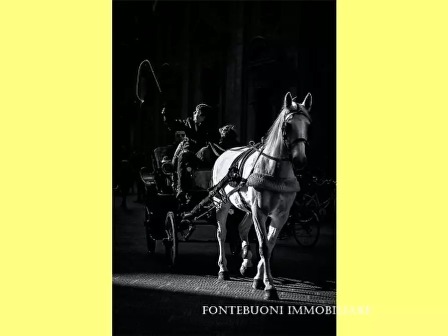 Immagine 1 di Negozio in vendita  a Pontassieve