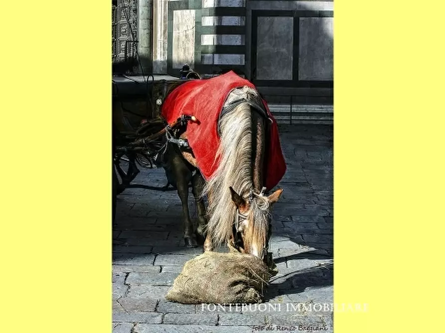 Immagine 2 di Negozio in affitto  a Firenze