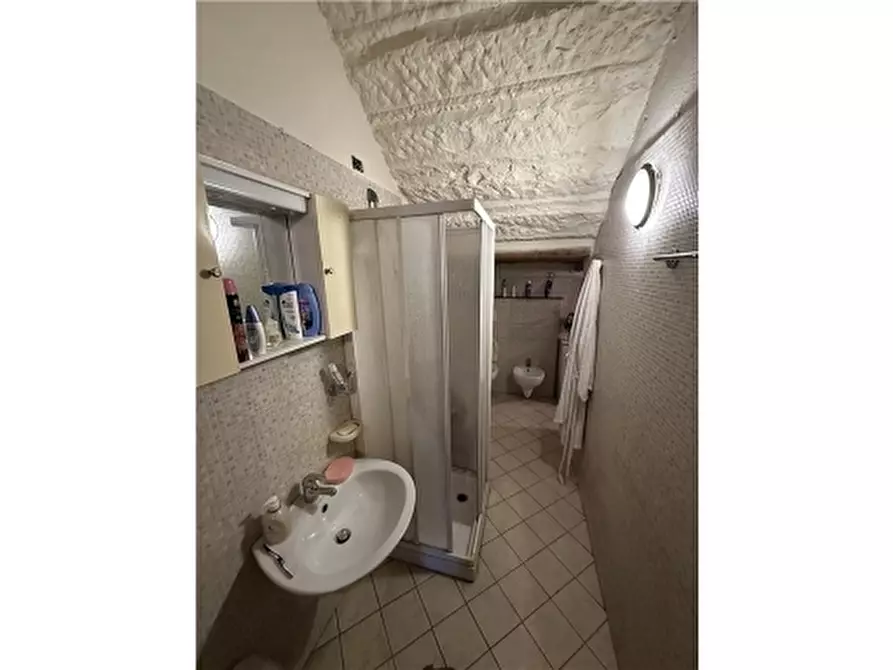 Immagine 12 di Appartamento in affitto  a Montespertoli