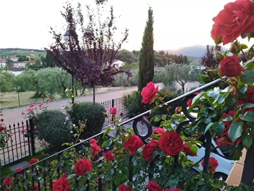 Immagine 11 di Villa in vendita  a Lastra A Signa