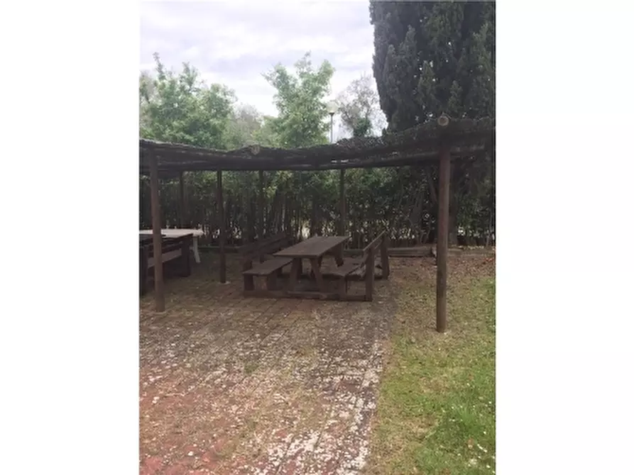 Immagine 9 di Rustico / casale in affitto  a Montespertoli