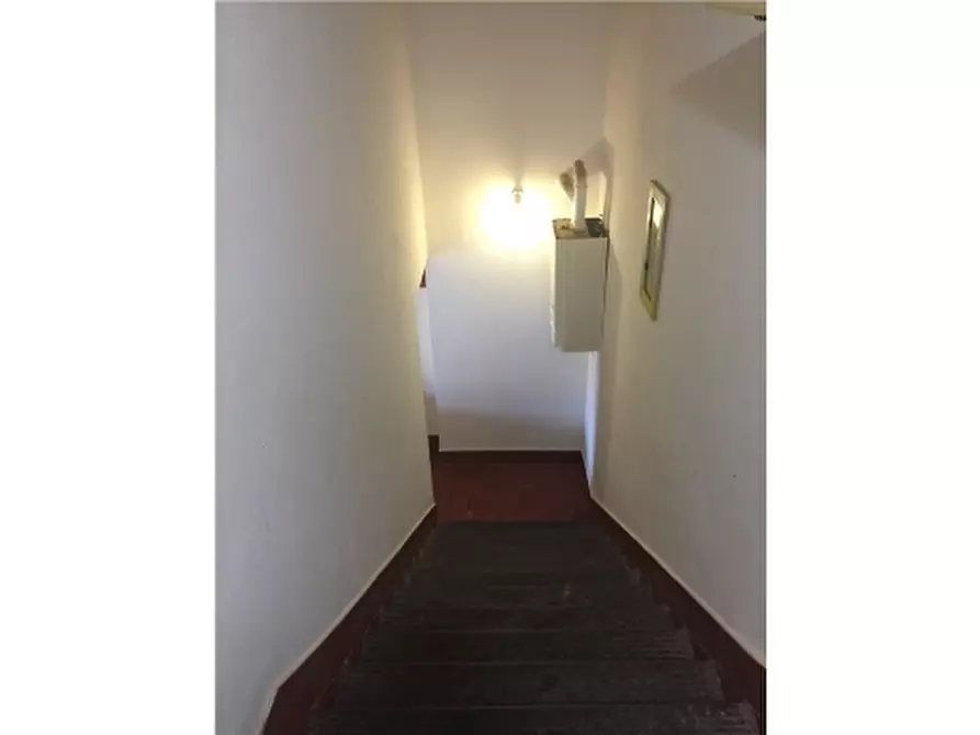 Immagine 3 di Rustico / casale in affitto  a Montespertoli