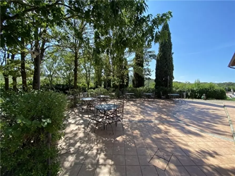 Immagine 23 di Rustico / casale in affitto  a Montelupo Fiorentino