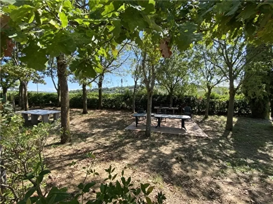 Immagine 17 di Rustico / casale in affitto  a Montelupo Fiorentino