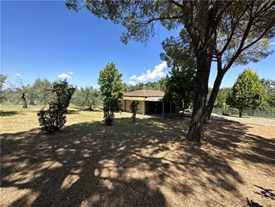 Immagine 39 di Rustico / casale in vendita  a Montelupo Fiorentino
