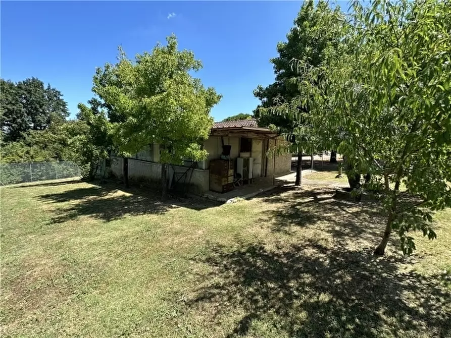 Immagine 40 di Rustico / casale in vendita  a Montelupo Fiorentino