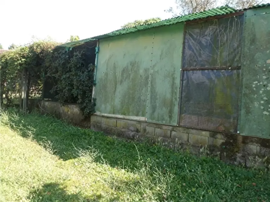 Immagine 42 di Rustico / casale in vendita  a Montelupo Fiorentino