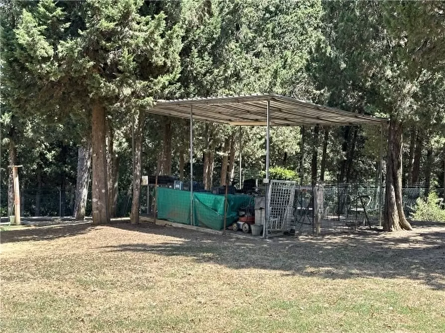 Immagine 45 di Rustico / casale in vendita  a Montelupo Fiorentino