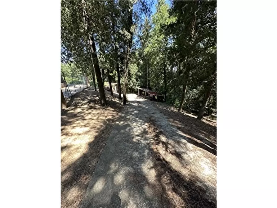 Immagine 47 di Rustico / casale in vendita  a Montelupo Fiorentino