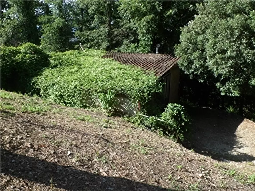 Immagine 48 di Rustico / casale in vendita  a Montelupo Fiorentino