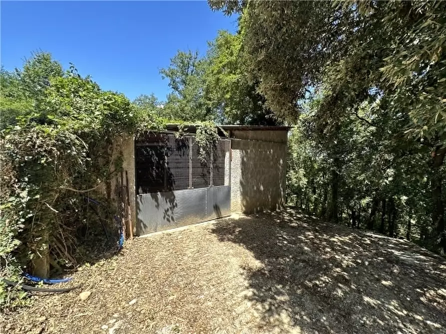 Immagine 49 di Rustico / casale in vendita  a Montelupo Fiorentino