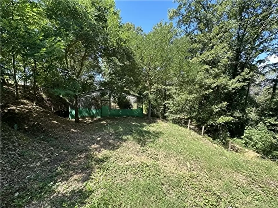 Immagine 53 di Rustico / casale in vendita  a Montelupo Fiorentino