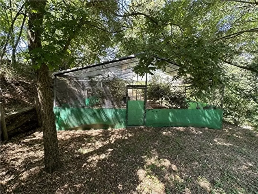 Immagine 54 di Rustico / casale in vendita  a Montelupo Fiorentino