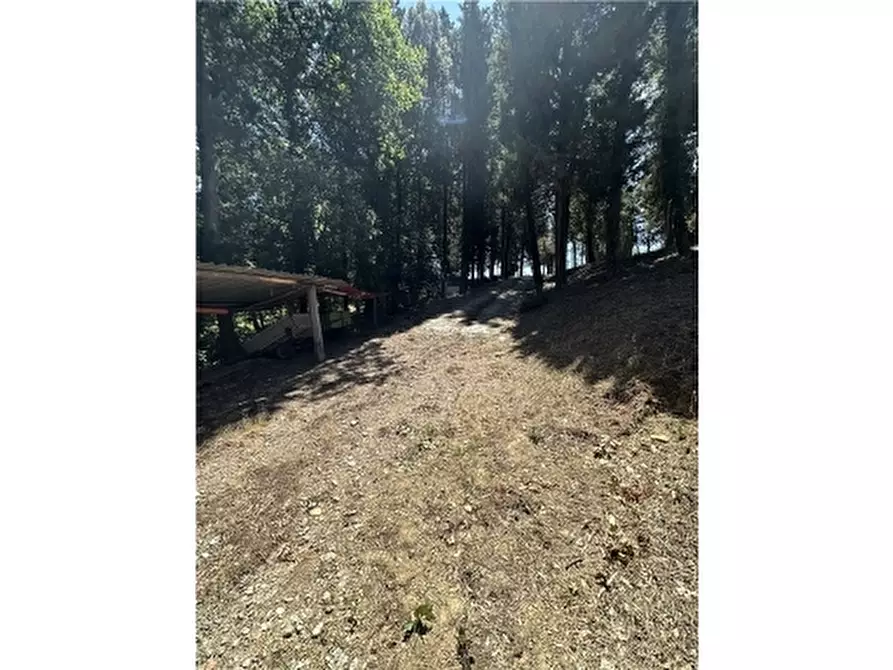 Immagine 55 di Rustico / casale in vendita  a Montelupo Fiorentino