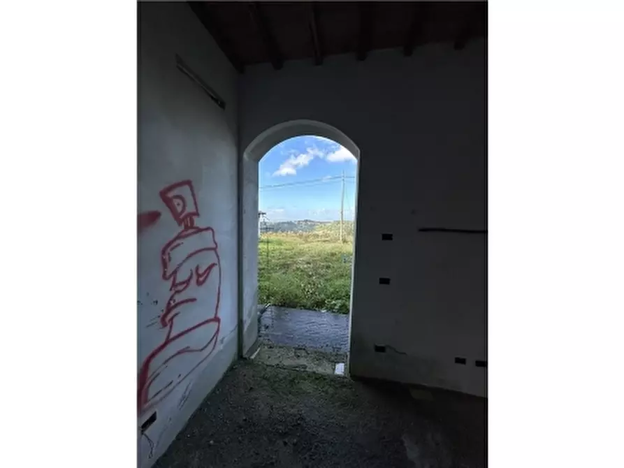 Immagine 3 di Rustico / casale in vendita  a Montespertoli