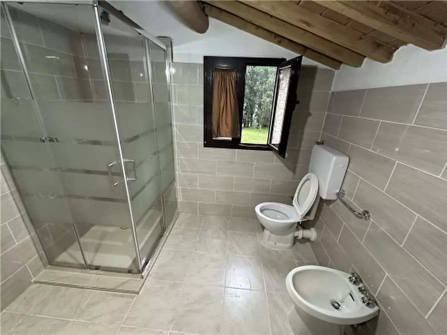 Immagine 12 di Rustico / casale in affitto  a Montelupo Fiorentino